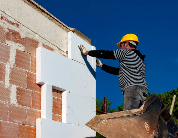 Best Insulation Removal  in Edina, MO