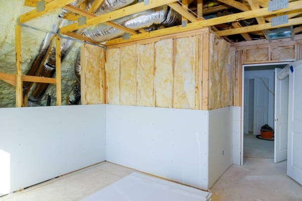 Best Insulation for New Construction  in Edina, MO