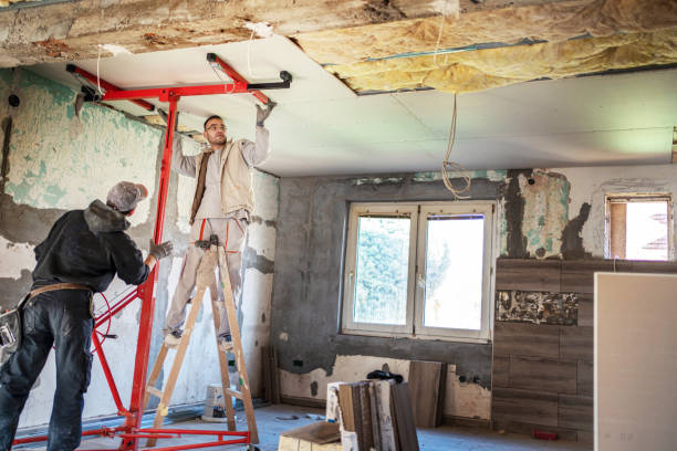 Best Insulation Contractors for Homes  in Edina, MO