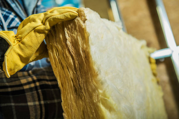 Best Attic Insulation Installation  in Edina, MO