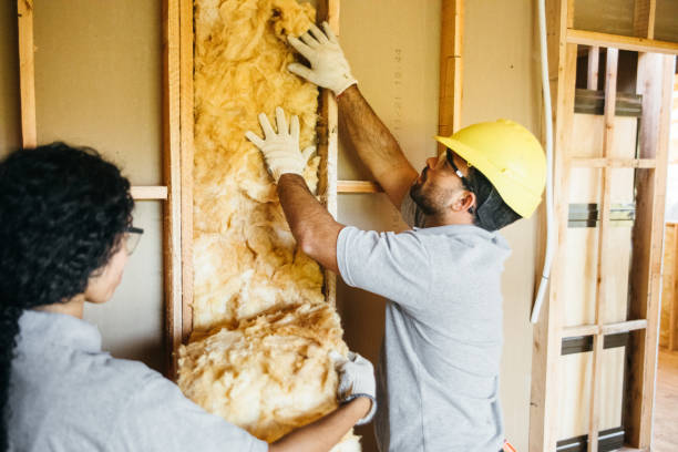 Best Cellulose Insulation  in Edina, MO