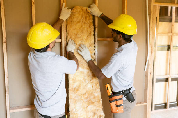 Best Home Insulation Services  in Edina, MO