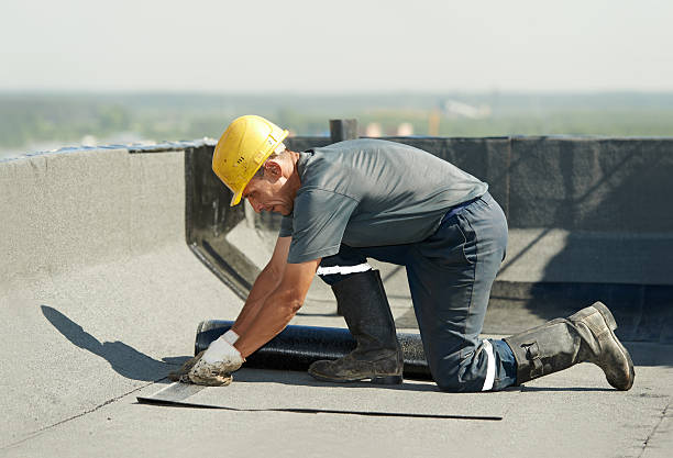 Best Insulation Repair Services  in Edina, MO