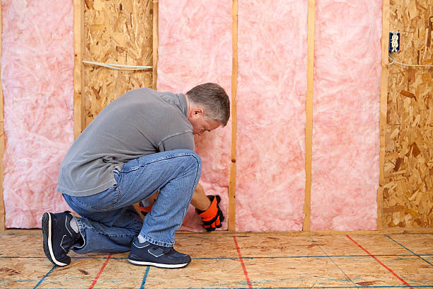 Best Insulation Replacement Services  in Edina, MO