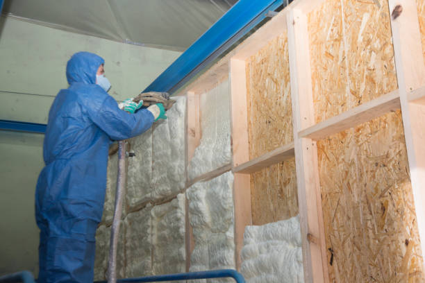 Insulation Inspection Services in Edina, MO