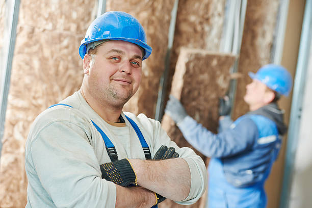 Best Fiberglass Insulation  in Edina, MO